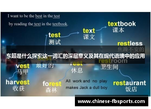 东超是什么探索这一词汇的深层意义及其在现代语境中的应用