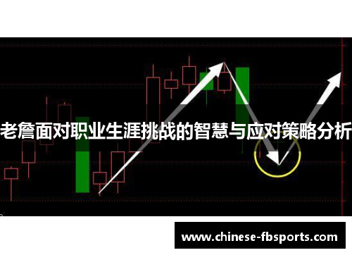老詹面对职业生涯挑战的智慧与应对策略分析