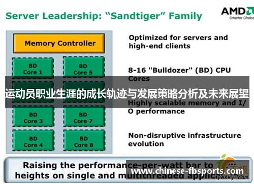 运动员职业生涯的成长轨迹与发展策略分析及未来展望