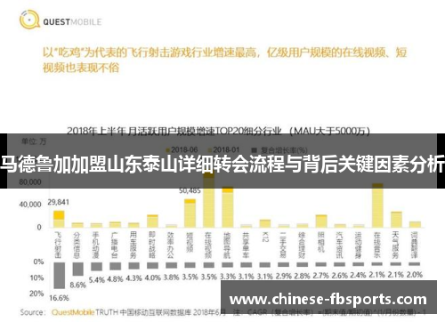 马德鲁加加盟山东泰山详细转会流程与背后关键因素分析